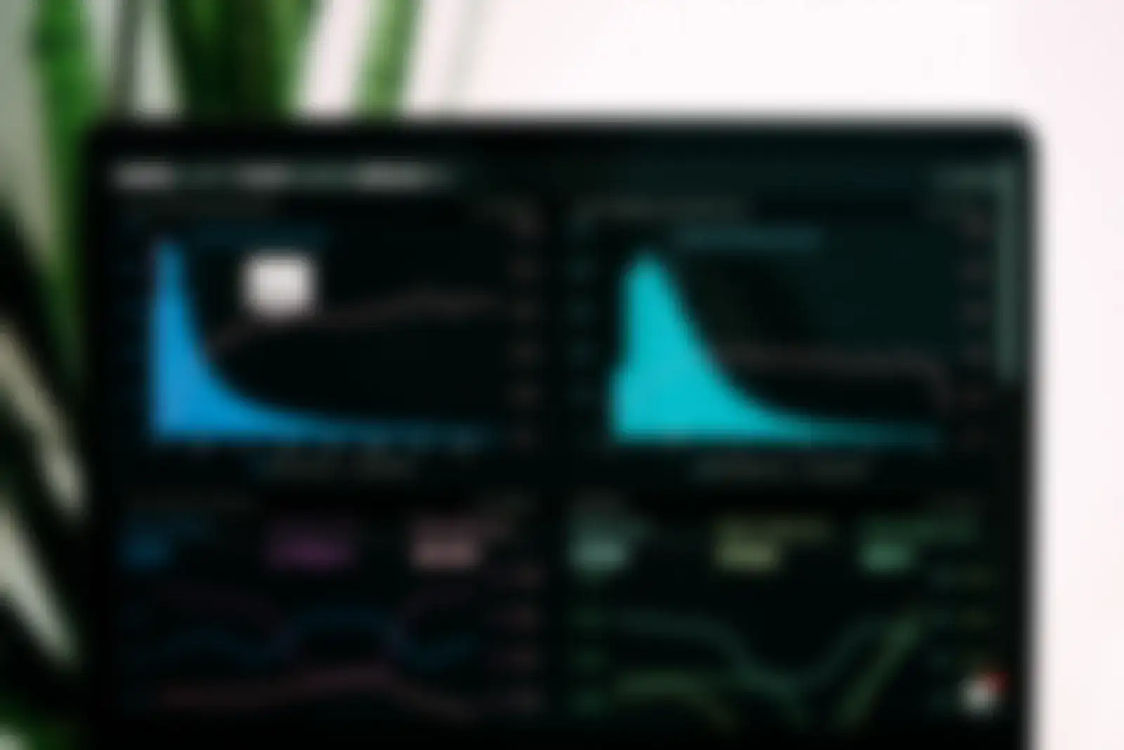 Charts on a computer screen beside a plant